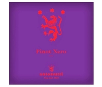 Antonutti, Grave del Friuli (Friuli, Italy) Pinot Nero 2018