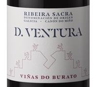 D. Ventura, Ribeira Sacra DO (Galicia, Spain)  2019