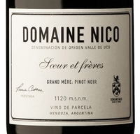 Domaine Nico, Tupungato, Valle de Uco (Mendoza, Argentina) Pinot Noir 2020