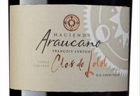 François Lurton / Hacienda Araucano, Lolol Valley (Chile)  2013