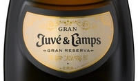 Juve y Camps, Cava (Spain)  2015