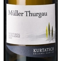 Kurtatsch, Cortaccia (Alto Adige, Italy) Müller Thurgau 2021