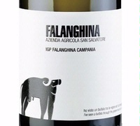 San Salvatore, Falanghina Campania IGP (Italy)  2017