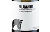 San Salvatore, Campania IGP (Italy) Falanghina 2019