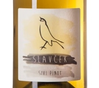 Slavcek, Vipavska Dolina (Slovenia) Sivi Pinot 2019