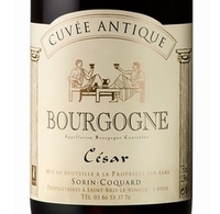 Sorin-Coquard, Coteaux Bourguignons AOC (Burgundy, France)  2019