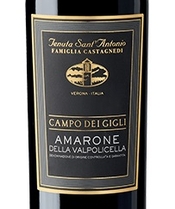 Tenuta Sant’Antonio, Amarone della Valpolicella (Veneto, Italy)  2015