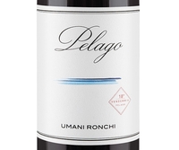 Umani Ronchi, Conero DOCG (Marche, Italy)  2015