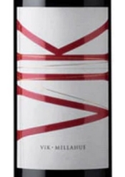 VIK, Millahue (Cachapoal Valley, Chile)  2018