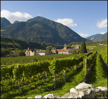 The Northernmost Winery in Italy–Or Is It Austria?