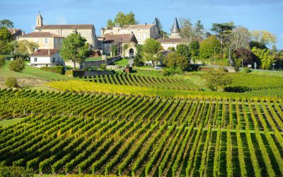 Special Report: Bordeaux 2005, A Vintage to Cellar