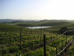 The Sonoma Coast: Pinot Noir’s New Frontier