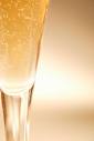 Light, Elegant Champagnes