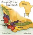 South Africa:  Fragile Flower of the Wine World