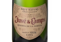 Juvé & Camps, Cava Gran Reserva (Spain)  2018