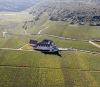 Drouhin’s Clos des Mouches Blanc:  Created by an Act of God