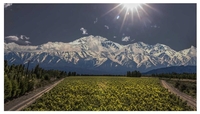 Catena’s Adrianna Vineyard:  An Argentine Grand Cru?