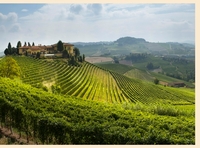 The House of Elvio Cogno:  Racing to the Top in Barolo