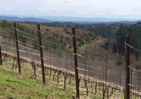 Leading Edge Geology and Wine in Oregon