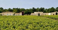 Investigating the 2018 Bordeaux Vintage