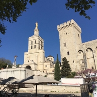 An Embarrassment of Rhône Riches