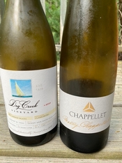 Chenin Blanc in Two Renditions