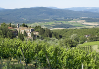 Castello di Fonterutoli, Leading the Way