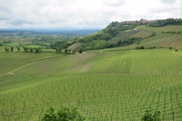 Barbaresco 2010:  Excellence in an Era of Promise and Peril