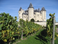 Lighten Up:  Appreciating Loire Valley Reds