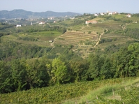 Ignited in Collio