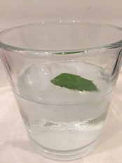 Cocktail Corner: Gin Julep