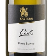 Cantina Kaltern, Alto Adige (Italy) Pinot Bianco 2019