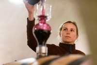 Breaking Barrels, Part 2:  Women in the Sonoma and Lake County Wine World