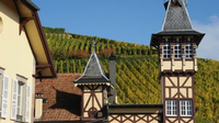 From Best of 2015, Top White Wine Producer: Trimbach, Alsace, France