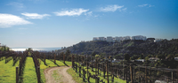 A Winery in…L.A.?