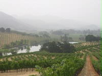 Napa Valley Discovery: the Secret of Quintessa