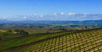 Paso Robles Wine: Unity in Diversity