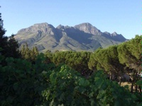 Geology on Display:  The Vineyards of South Africa