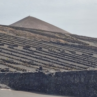 Lanzarote: Vinous Wonderland in the Canary Islands