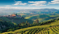 Breathtakingly Beautiful Barolo: The 2016 Vintage