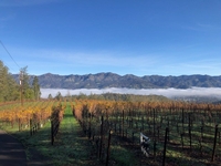 The Jewel of Napa:  Diamond Mountain District