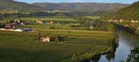 A River Runs Through It:  Exploring the Range of Fluvial & Alluvial Influences on Vineyards