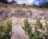 Bubbling Up From the Chalk:  Exploring the Geologic Heritage of Champagne