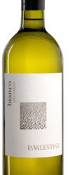 A Terrific Bianco from Italy’s Adriatic Side