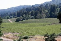 Sonoma Source:  The Jack London Vineyard