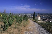 Pipeline Report: Bastien Tardieu on 2009 and 2010 Rhônes