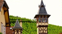 Alsace: Home to a Great Riesling Producer