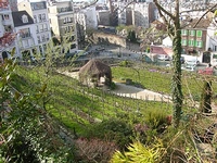 Wine from…Paris?