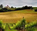 Wine Tour Time:  Dazzling Destinations in France