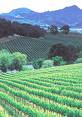 Assessing the 2007 Growing Season in Sonoma County